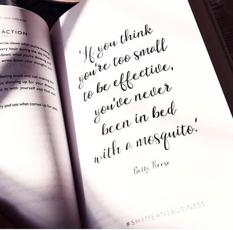 Sandy Case's album, Timeline Photos