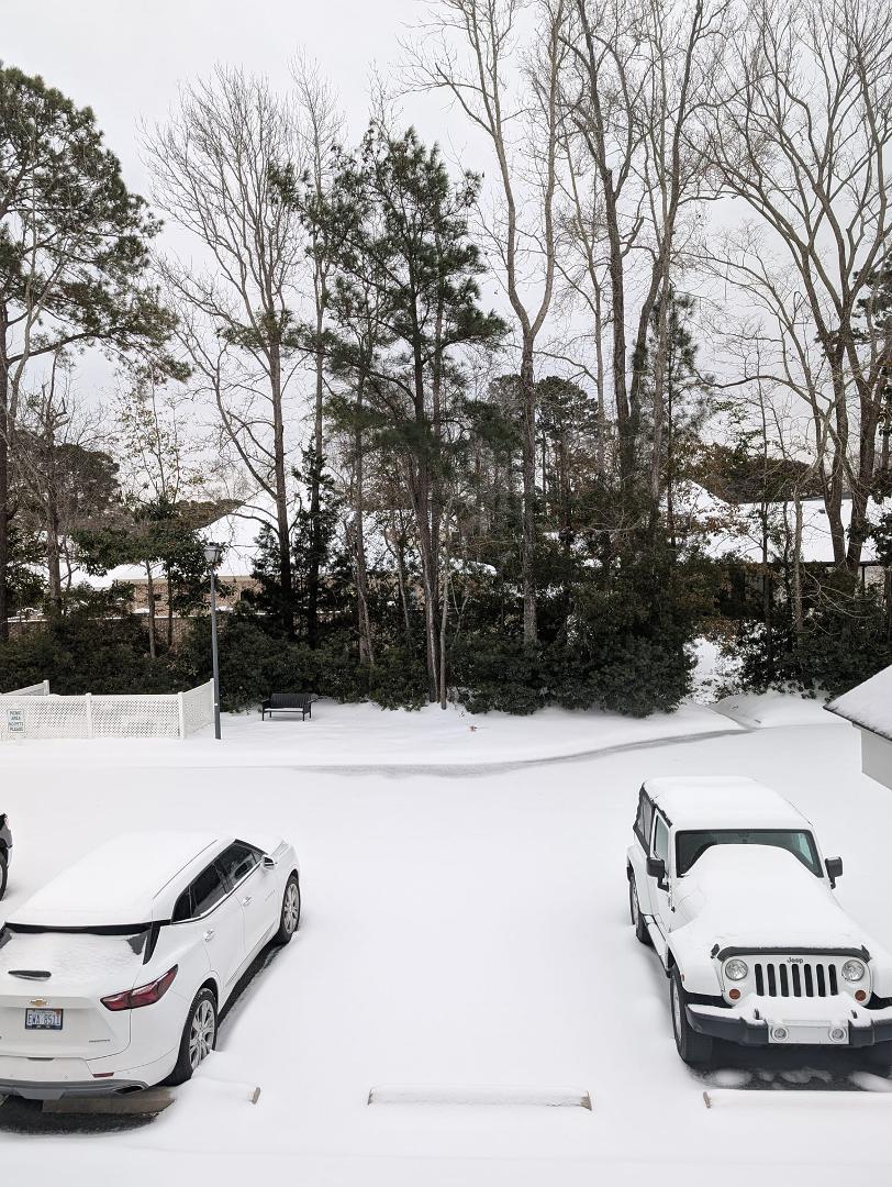 Snow finally stopped. Here's a morning picture.❄️