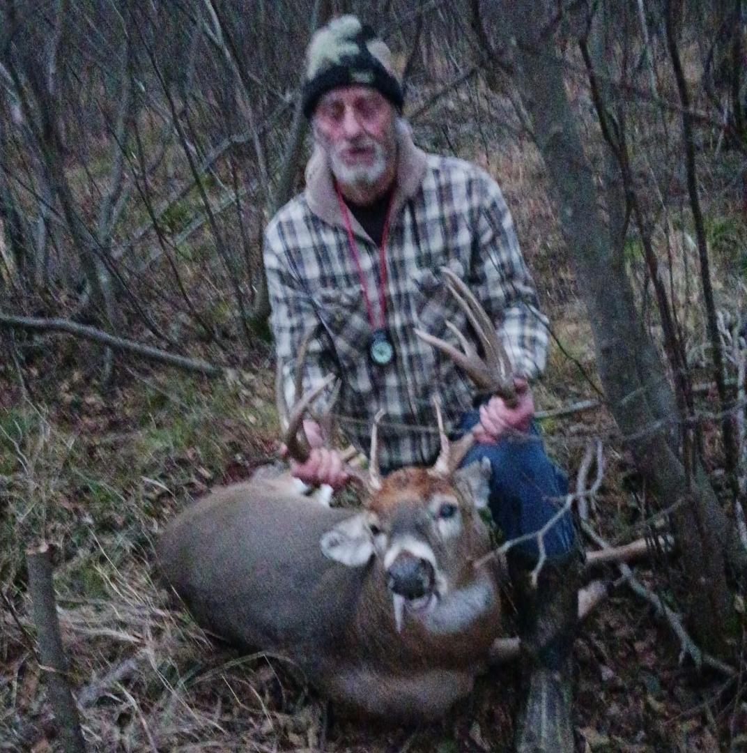 11 pointer