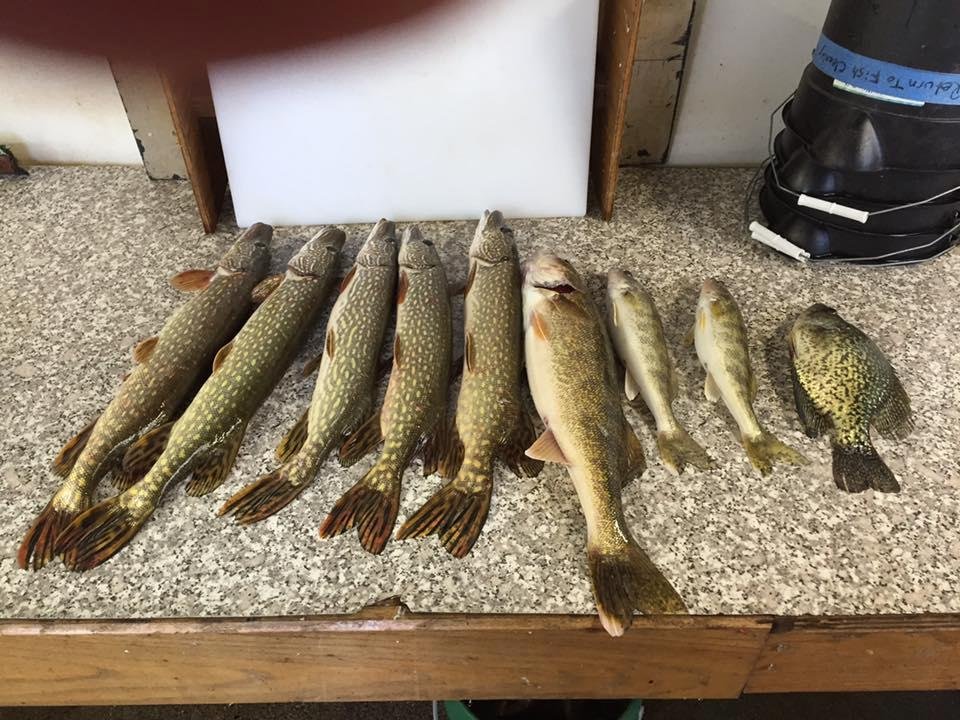Nice day on the lake