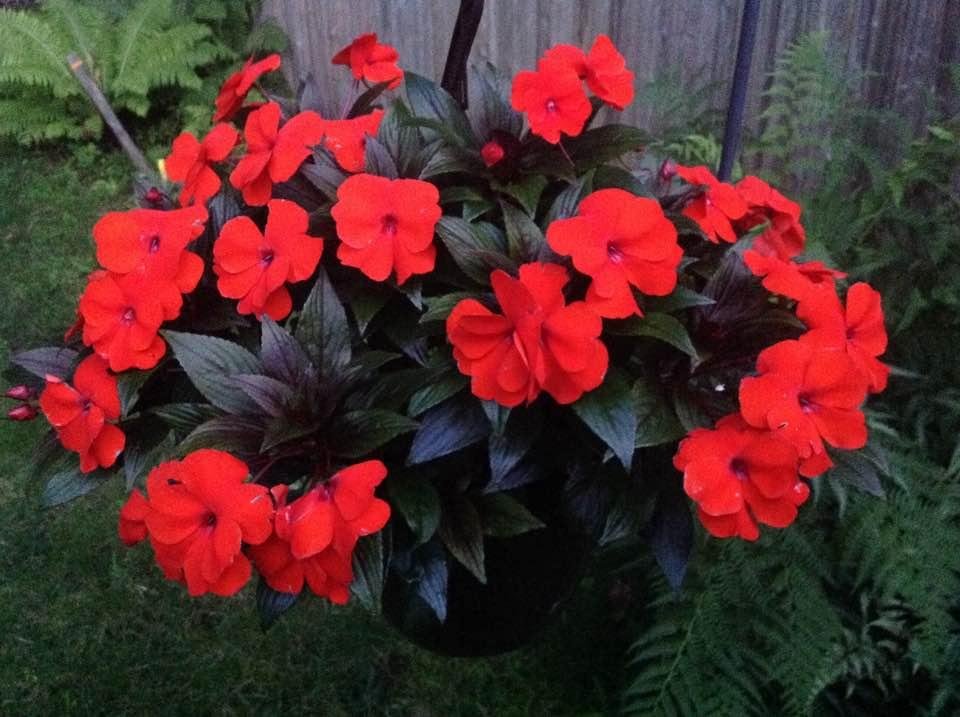 James Oitzinger's album, Timeline Photos