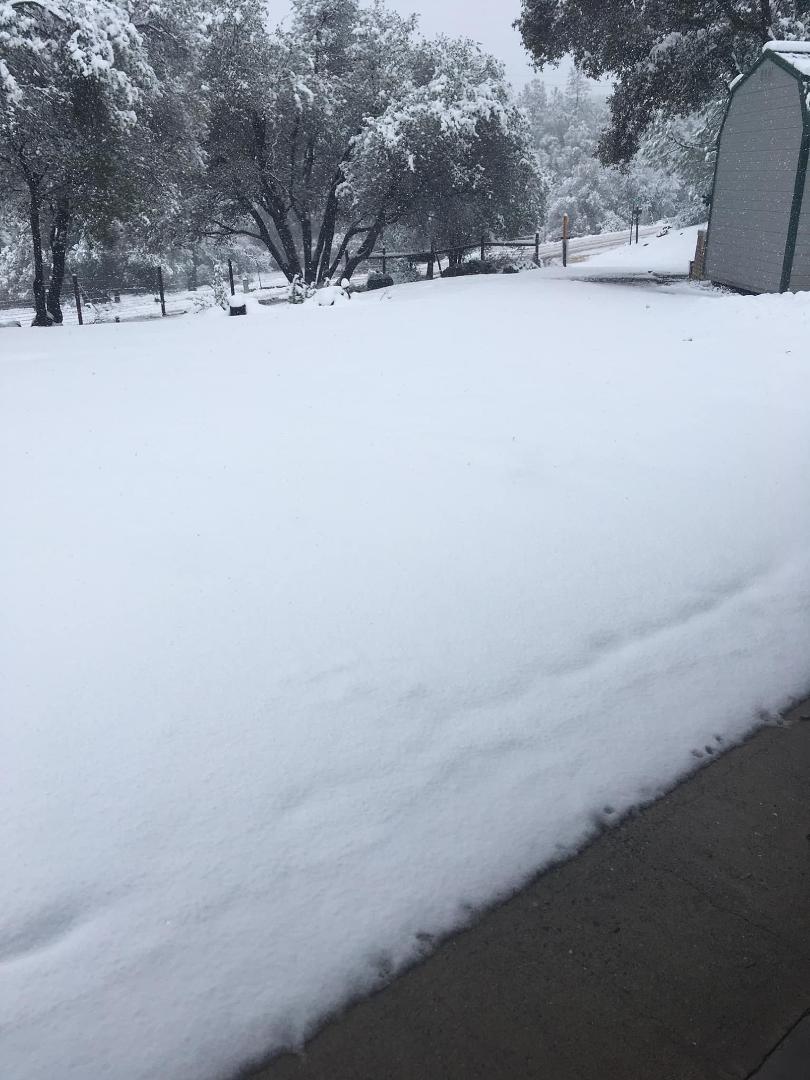 Snow day