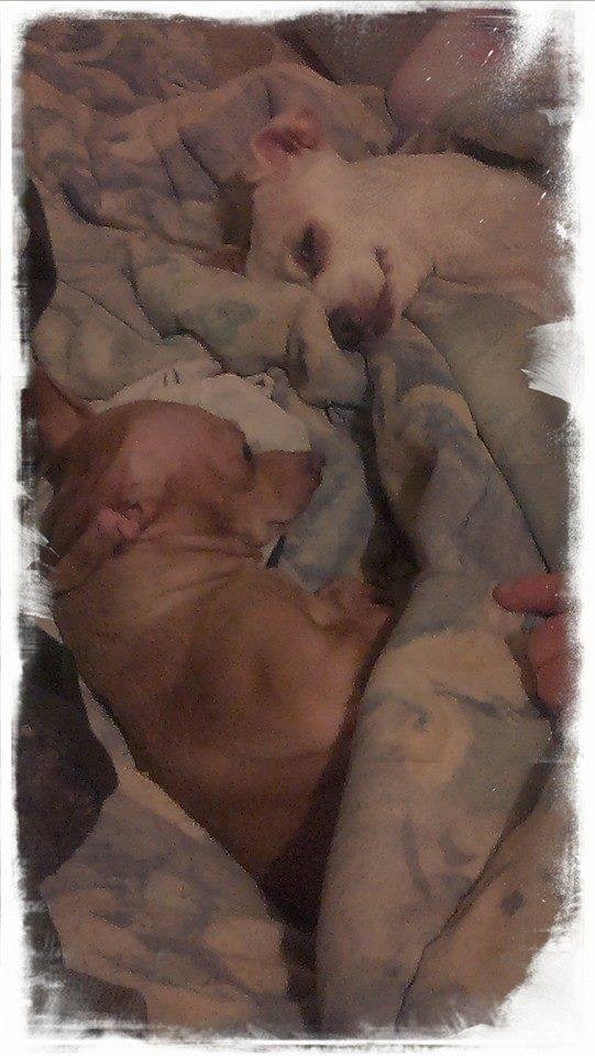 Crystal & Sharlet being lazy as always