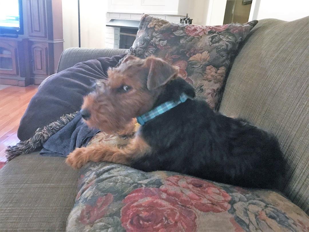 Quinn perfecting his Stink Eye.
