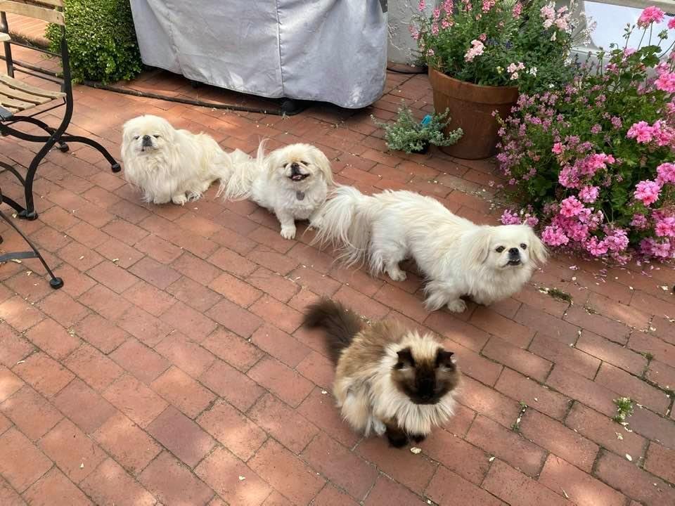 Come on Mom, we need a treat!