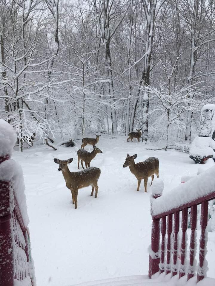 My friends came in for a visit