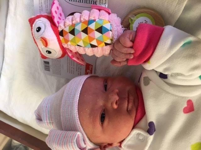 We are welcoming Lucy Mae Haapala to the family today, April 7, 2016!
