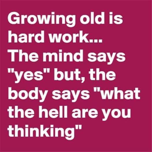 More and more these days!