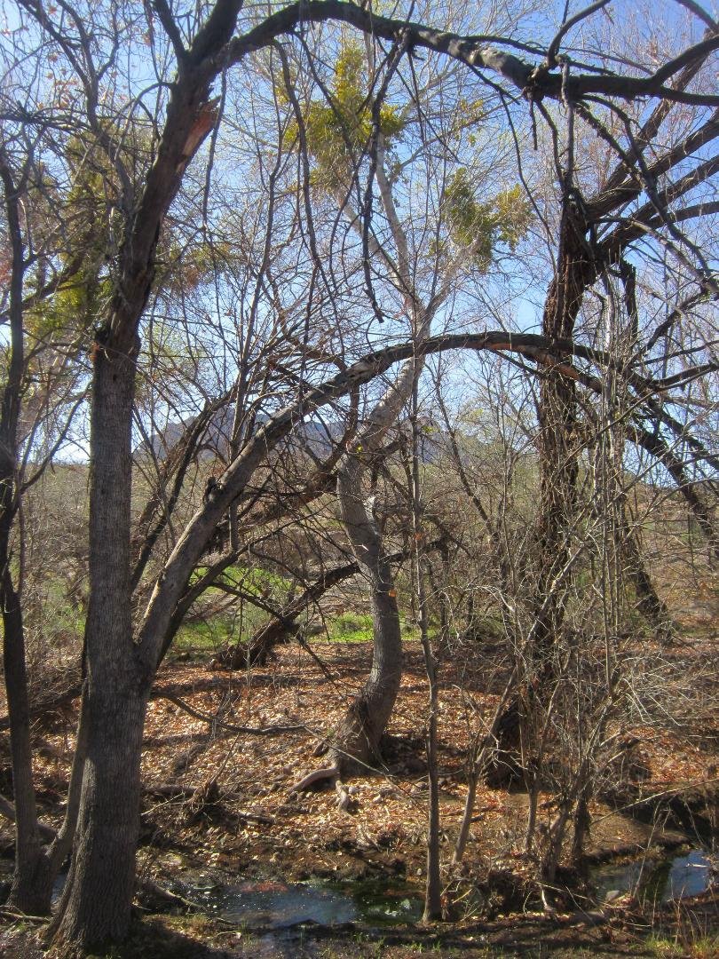 Dan Griffin's album, LOST hike 2-18-12