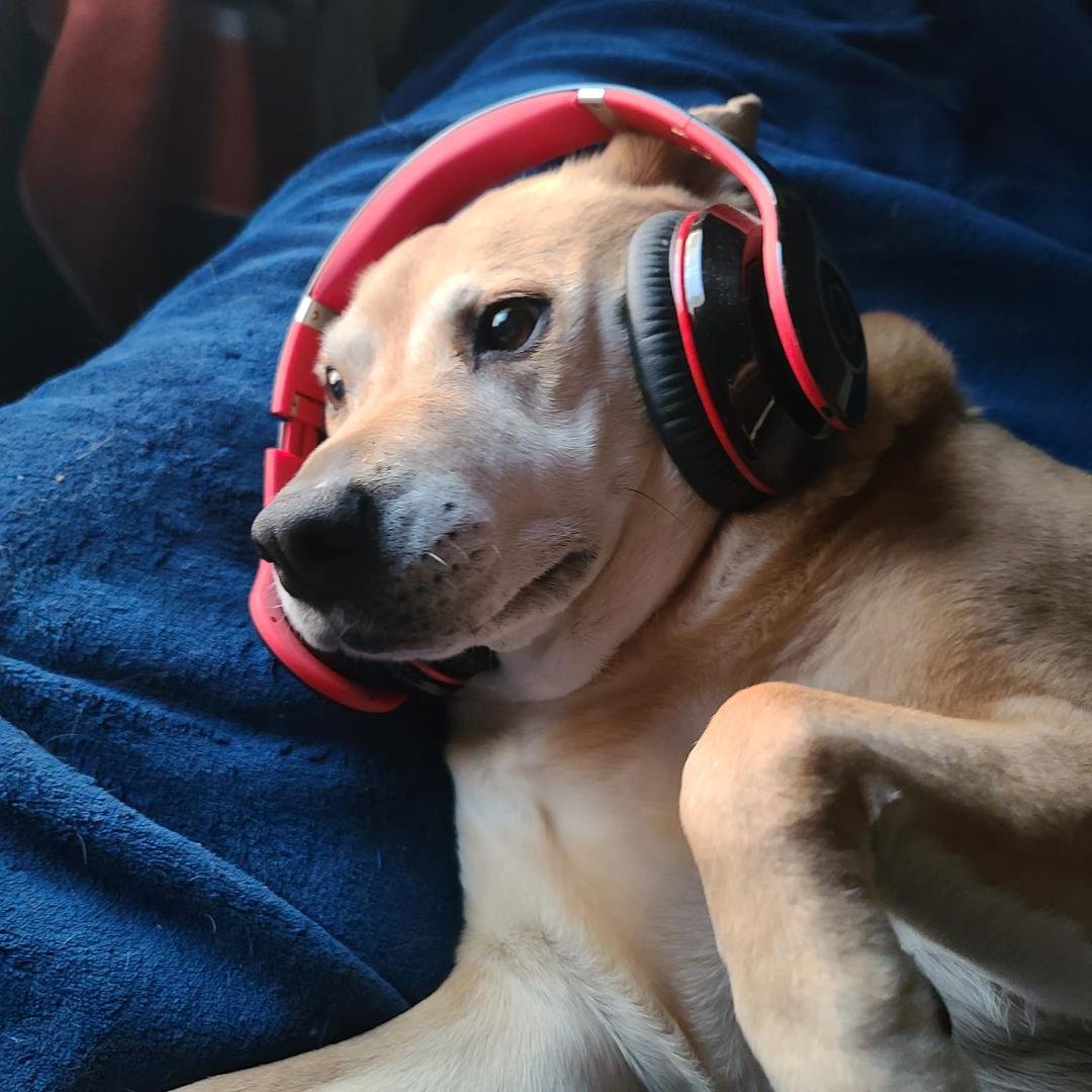 Peaches be jamming
