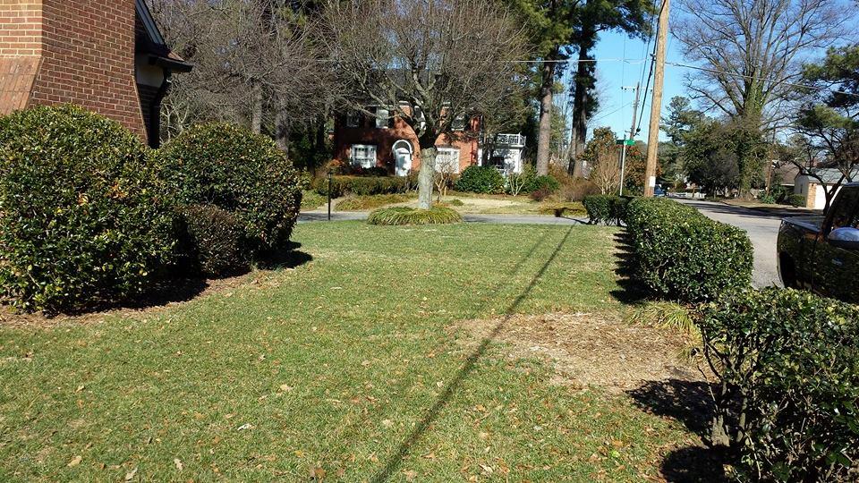 Just in case anyone forgot what grass looks like.