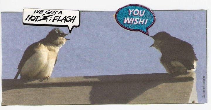 My entry for CWF Caption Contest. Thanks to Cyril for stickers.
