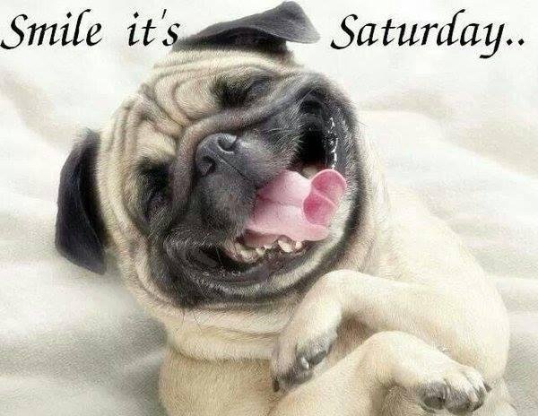 Donna Testa's album, Timeline Photos
