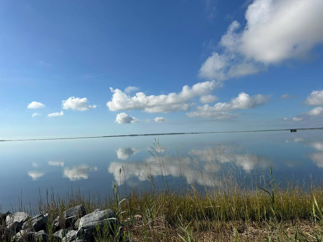Was an awesome Sunday morning to drive to Chincoteqeau Island for coffee and a ride through Assateague National Park picture looking north while going over the causeway