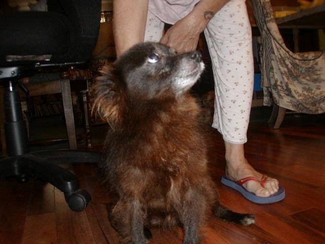 our beloved Boozey