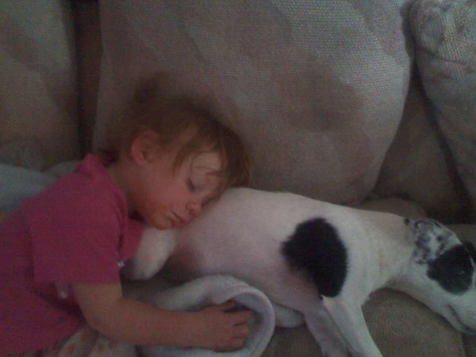 Alexis takes a nap on Sadie
