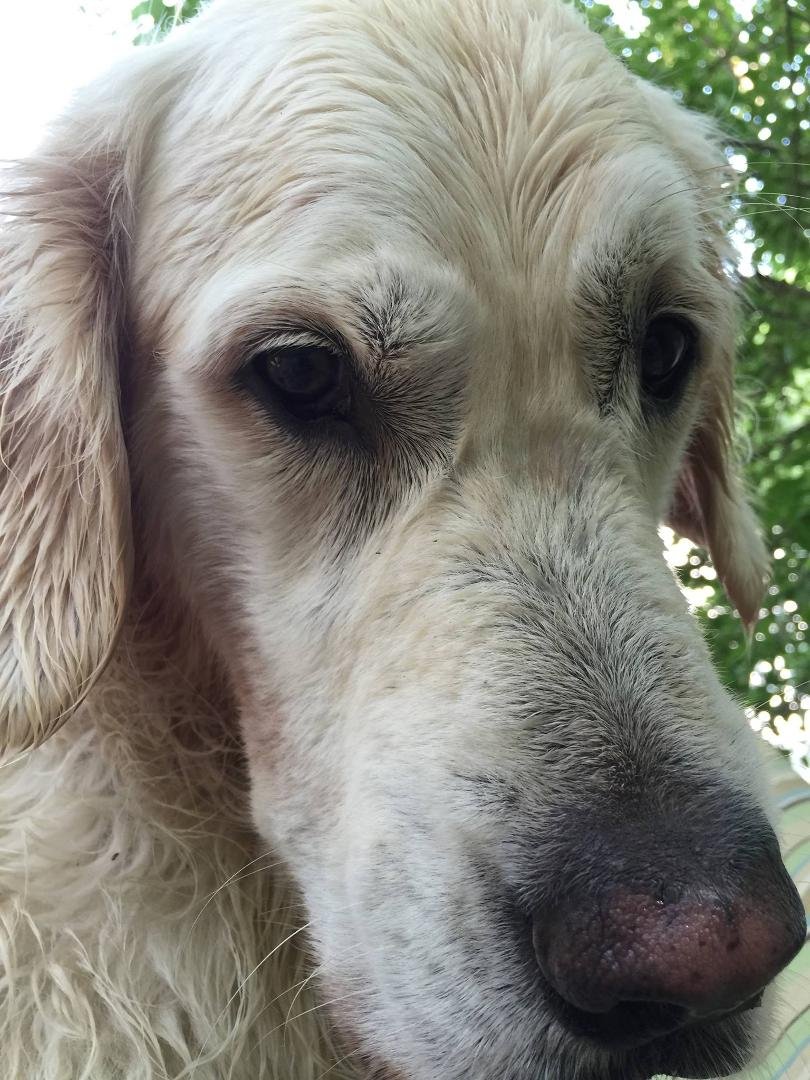 Extreme close up.
