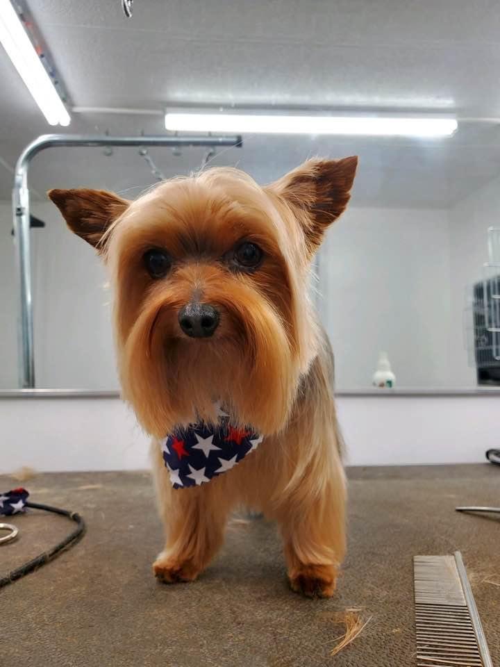 He looks like a new man!!!