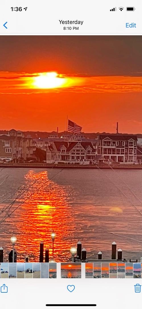 This 4th of July, I am thinking about all that I have to be thankful for and what needs to be done to get back to normal.