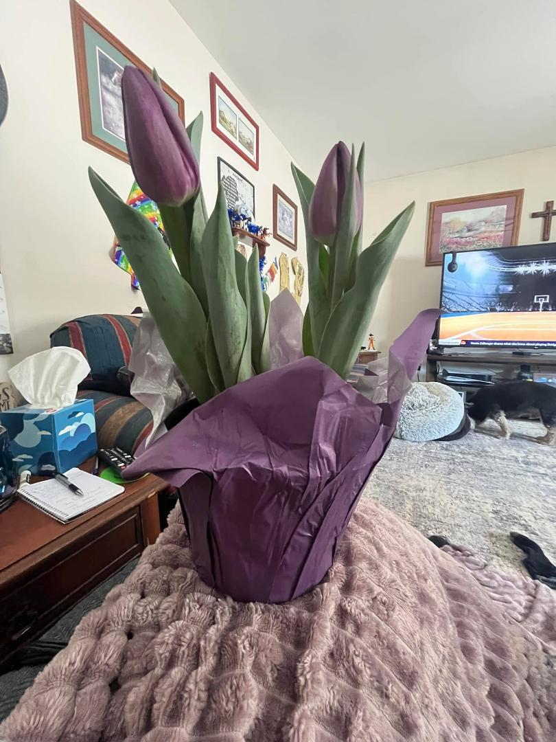 What a beautiful surprise! Thank You Gertrude Roark I love it and it’s my favorite color. 💜💜💜