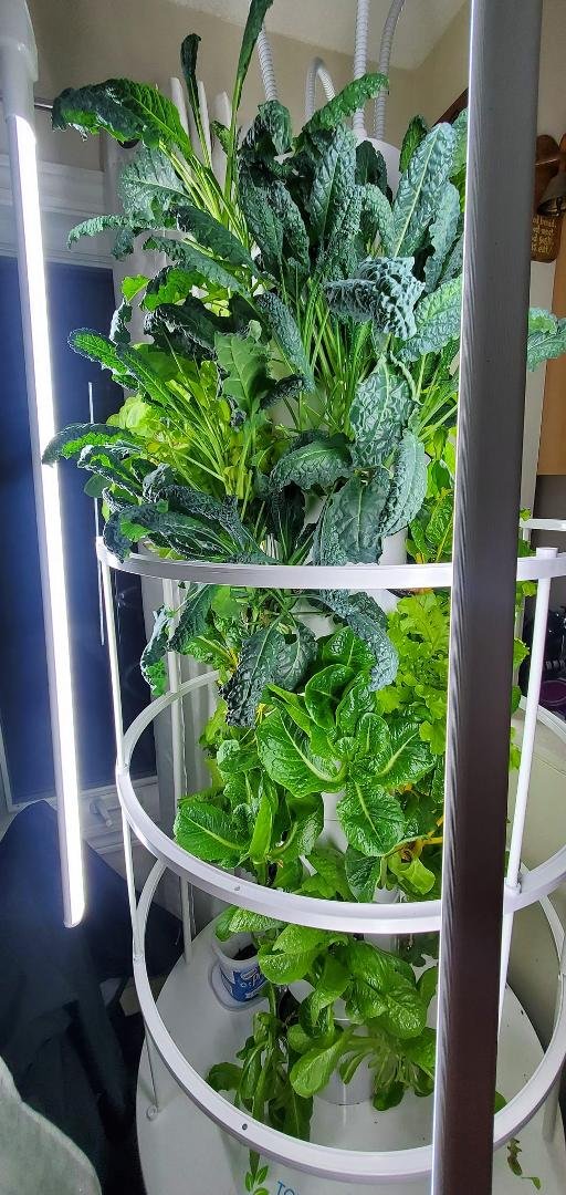 Grow and save with
Stevenbell.towergarden.com