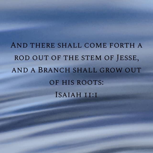 matt birge's album, Timeline photos