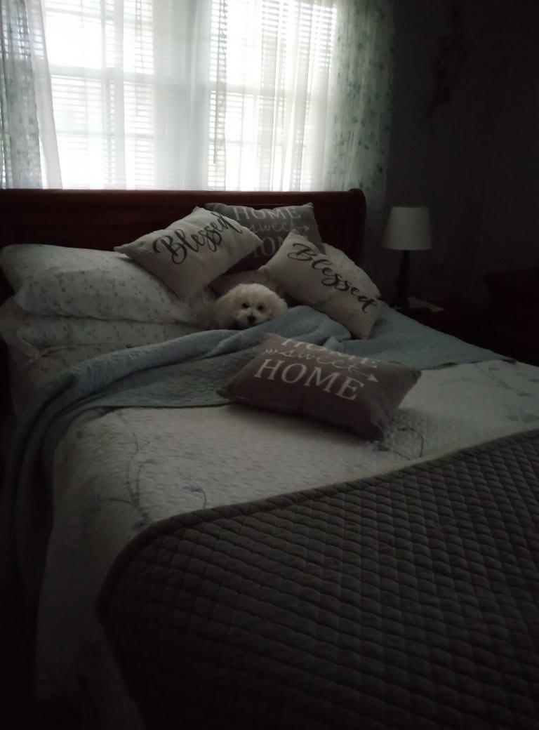 Rowdy refusing to get up 😞