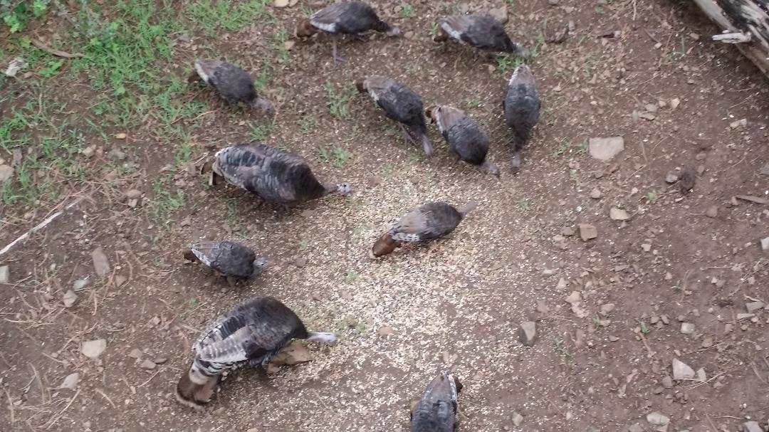 Just got home and had to feed my friends.