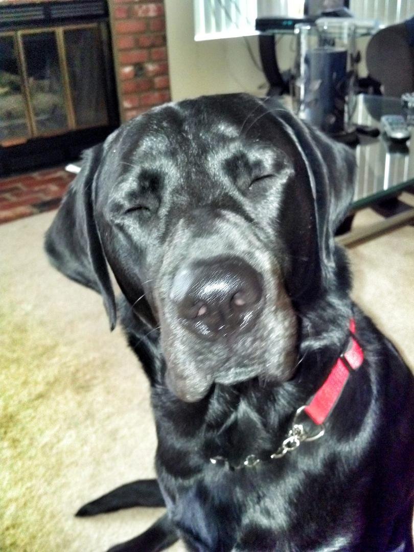 Even the dog blinks... ugh