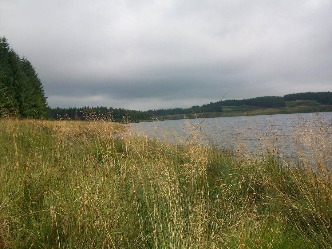 Glen Ritchie's album, Misty Day In The Hills!