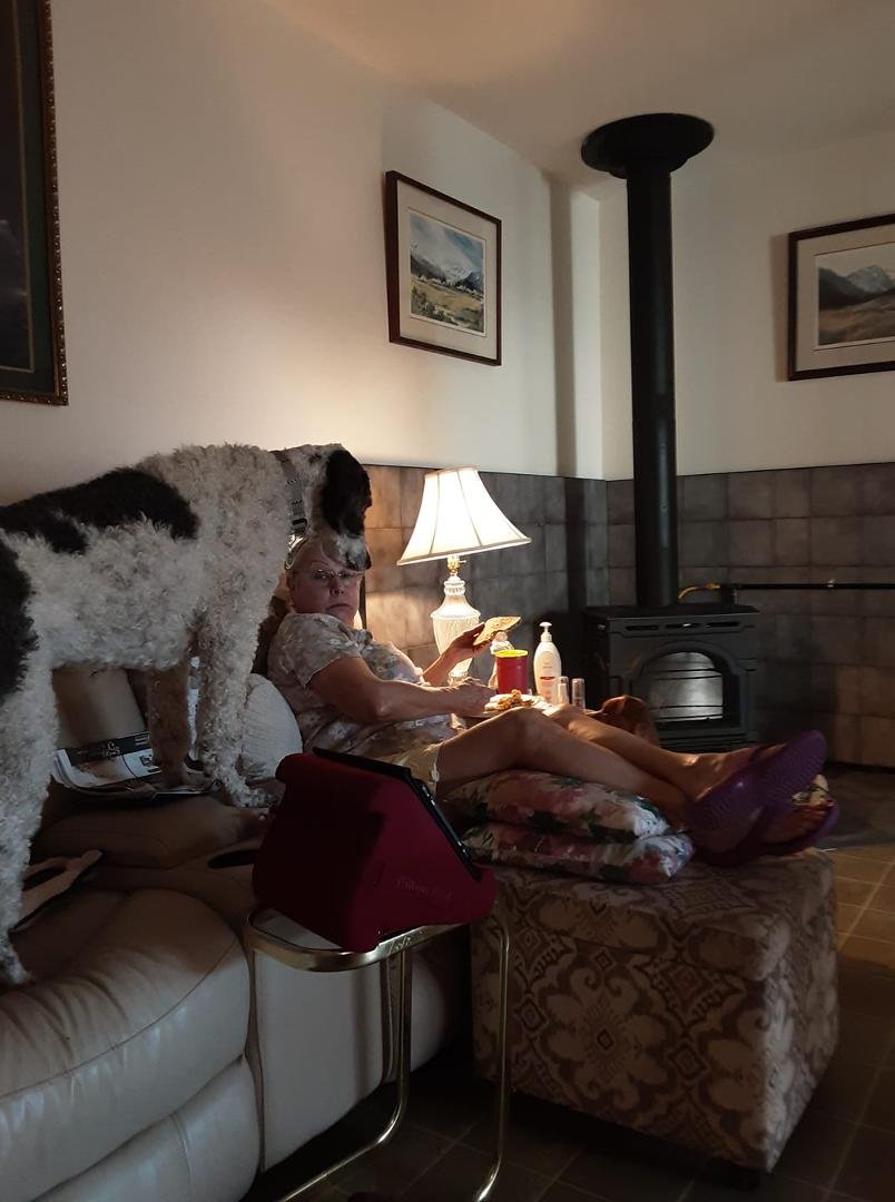 We have a little bigger boy, Zorro. He's like one of the human kids!