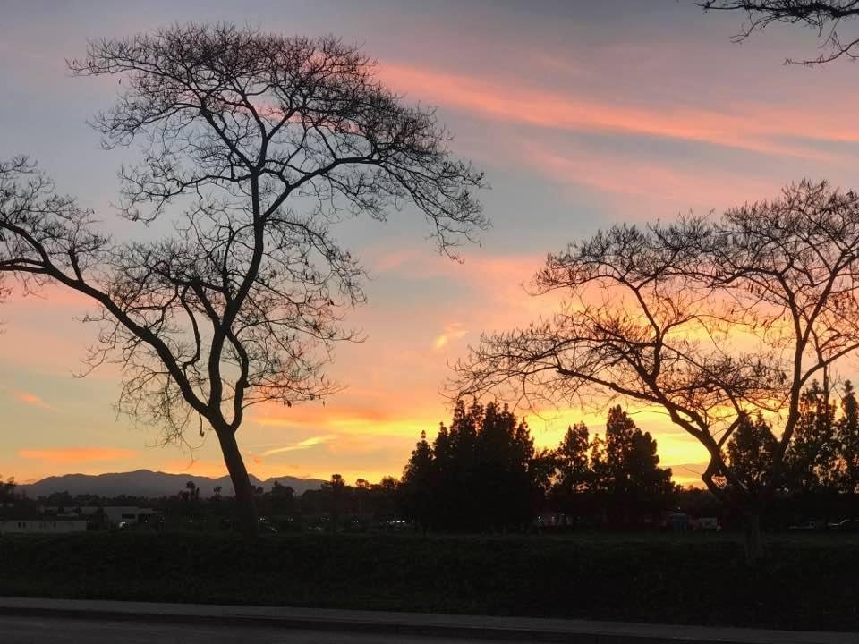 Rick Cornell's album, Timeline Photos