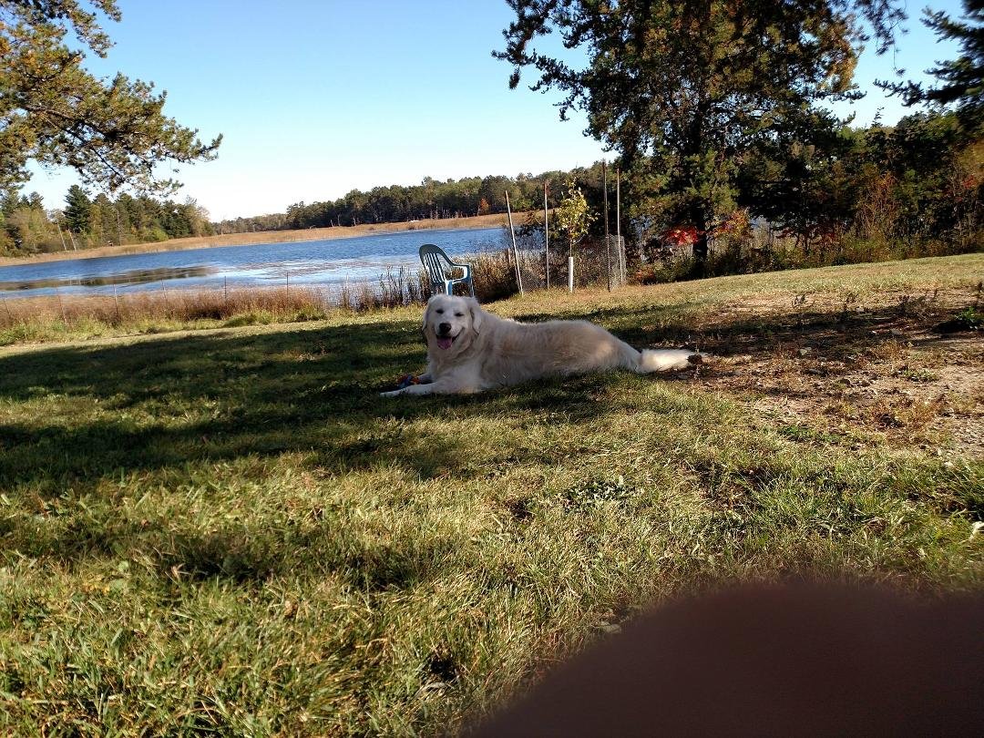 George Constans' album, Mobile Uploads