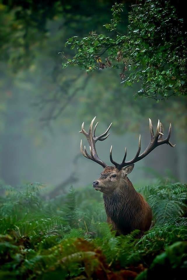 Awesome Photo