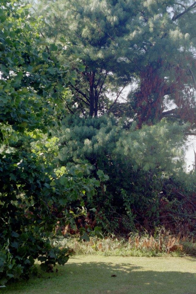 Tim Pertler's album, Middletown