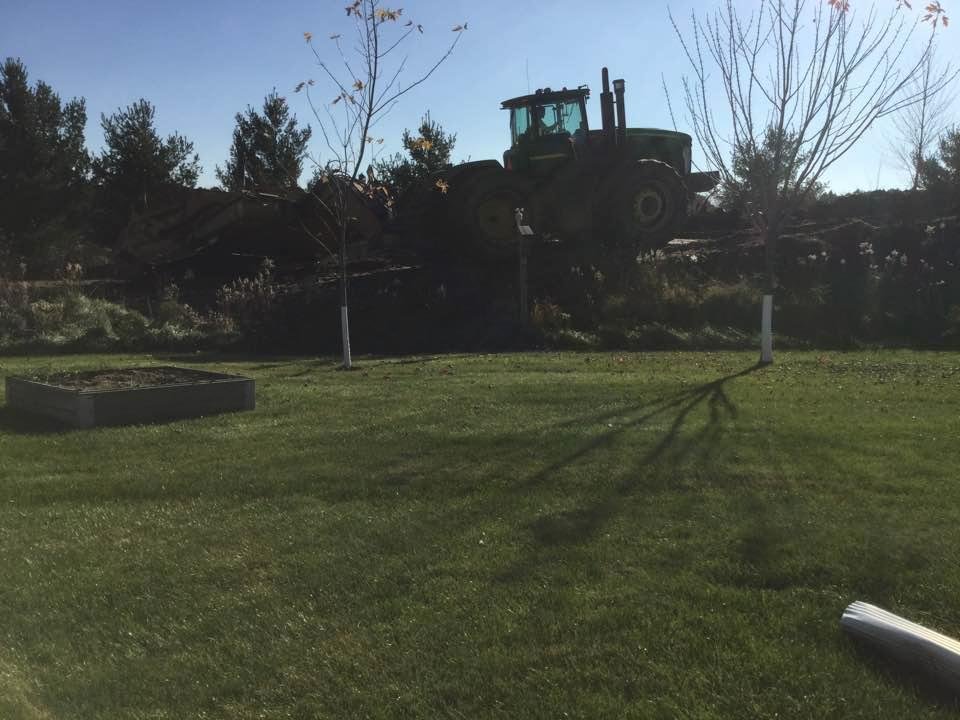 Say good bye to the burm in the back yard...
