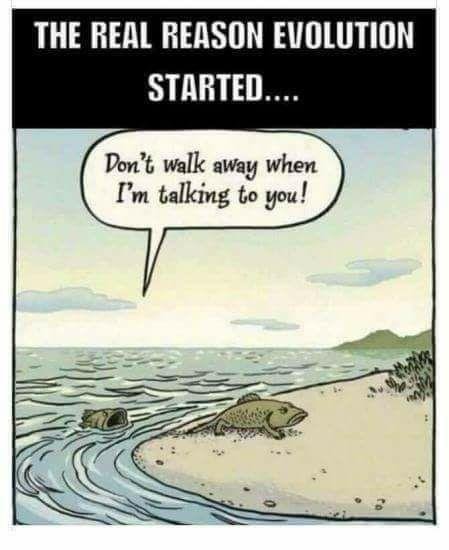 David Wolf's album, Timeline Photos