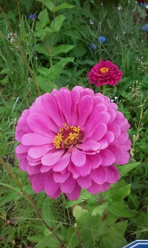 GOOD MORNING be BLESSED be HAPPY !!!