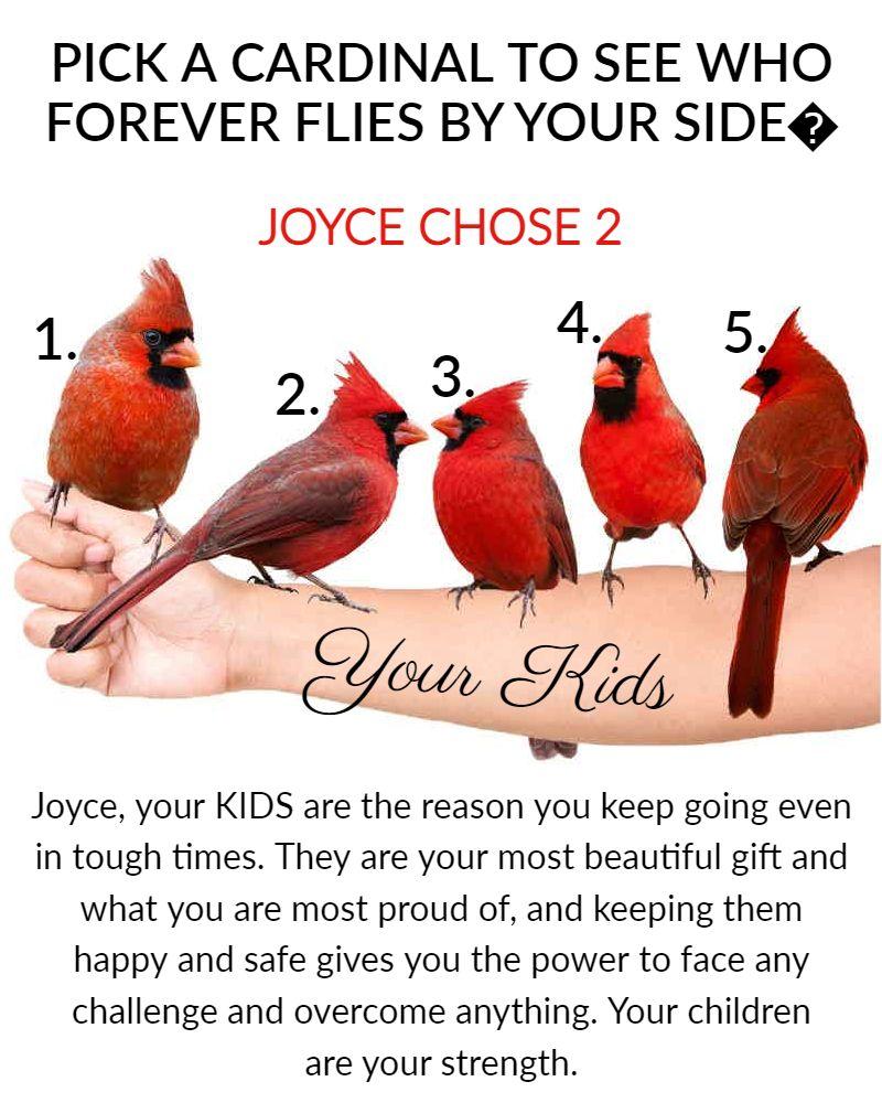 Joyce Burnett's album, Timeline photos