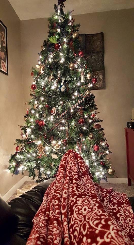 Definitely in the Christmas spirit now that we have the tree up.