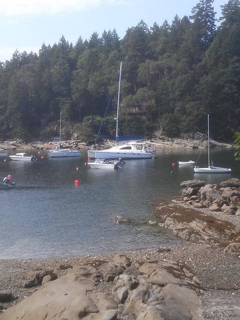 Amazing sight to see a 43'x26' catamaran in our little bay. They were visiting neighbours.