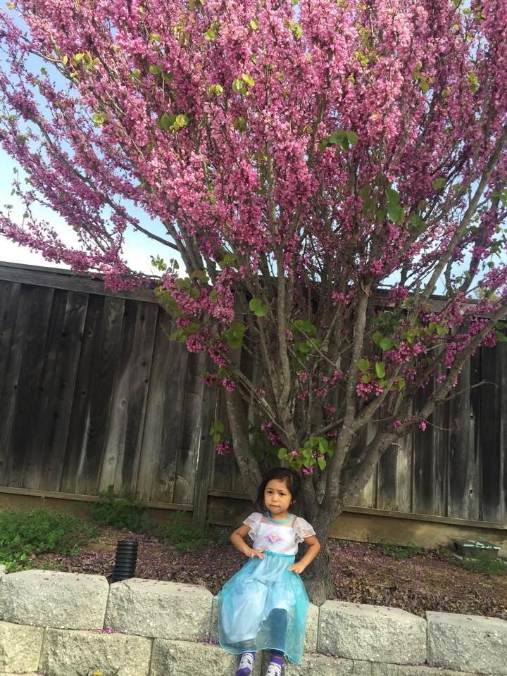 Alberto Gerardo's album, Timeline Photos