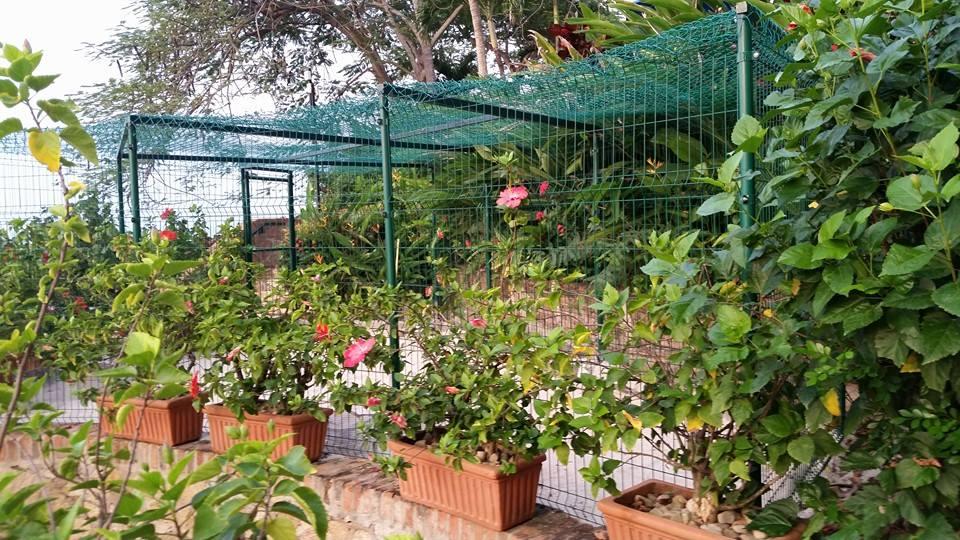 The nursery