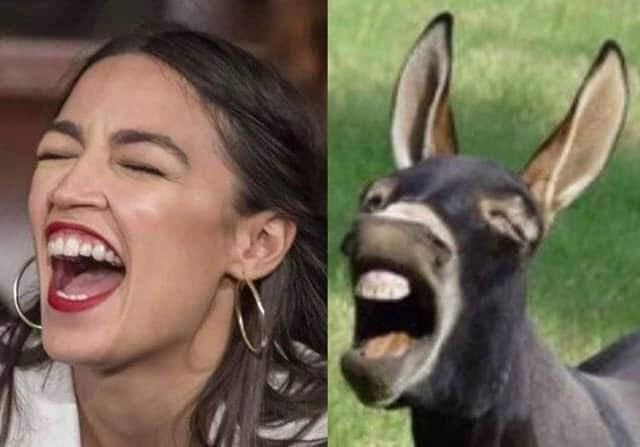 TWINS