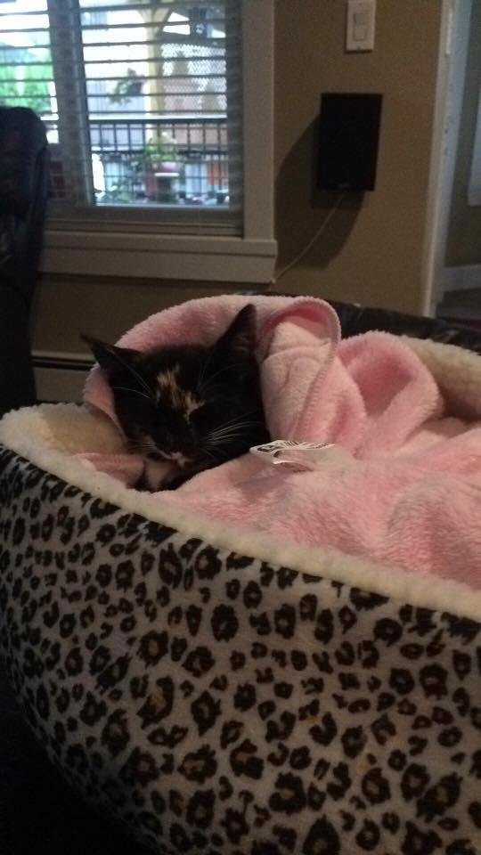 Playing is such hard work! Sleepy baby !