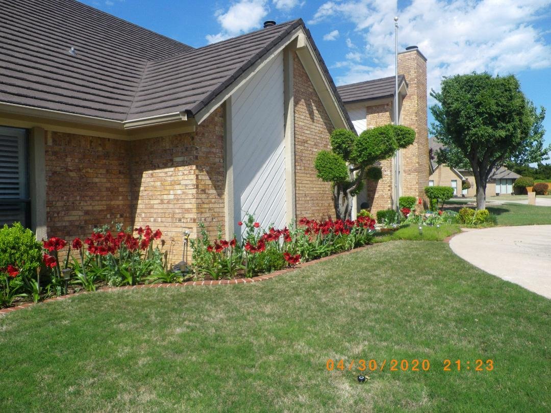 Enjoy our front flowers. Click on picture to get a closer view.