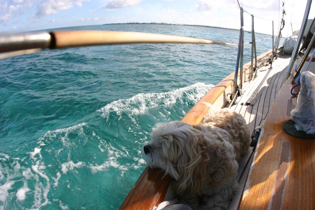 Mitsuko in deep thought Bahamas passage.