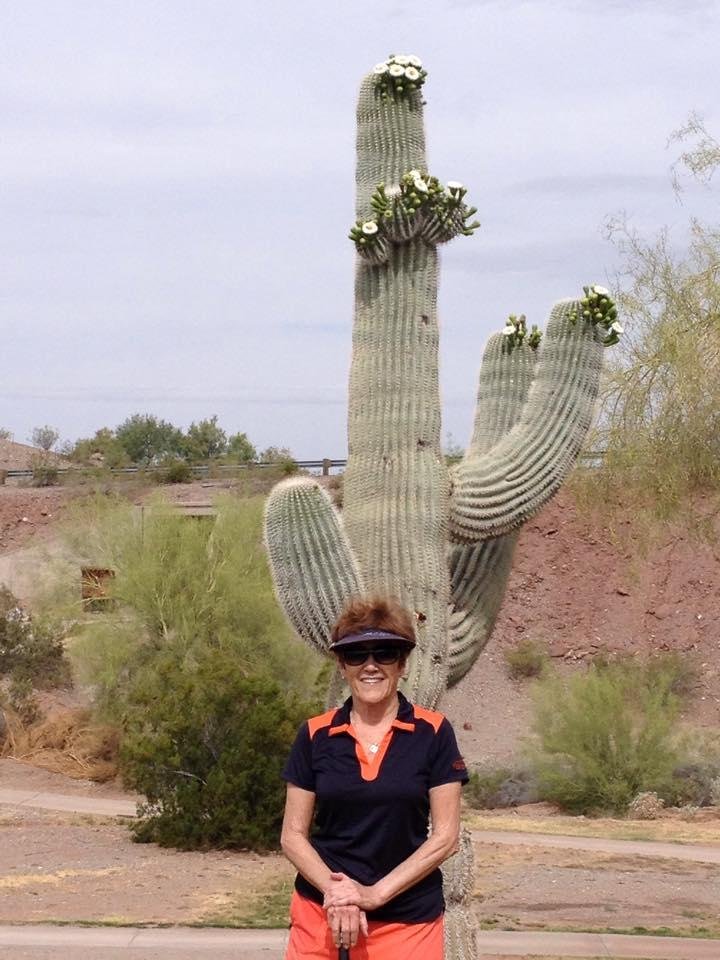 Trish McBride's album, Mobile Uploads