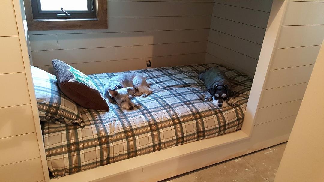 We were looking for the dogs. Curled up in the new bunk beds.