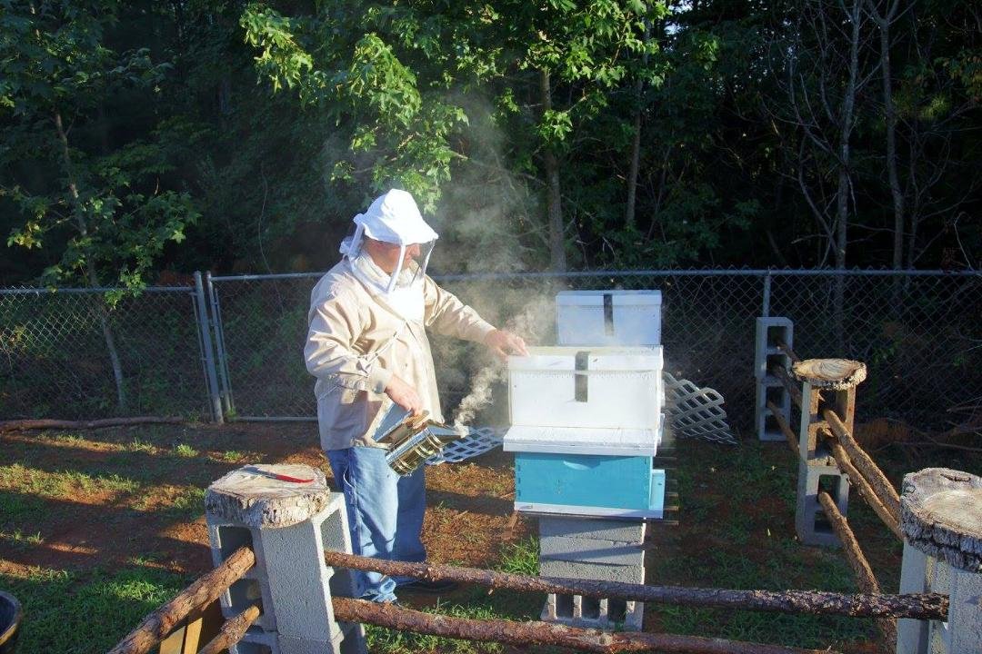 Judith Brack's album, Scott's Bees